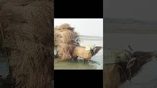 #myfirstvlog2023 ll my first vlog today ll my first blog viral l #myfirstvlog  l#todayvlogl #shorts