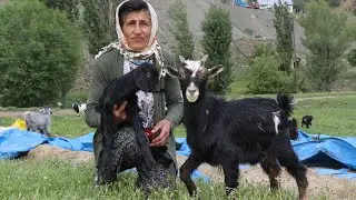KKKA'yı yenip sağlığına kavuştu, 'moral' uyarısında bulundu