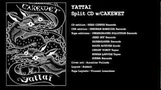 Yattai split w/Cakewet : 8/ Everyone has AIDS