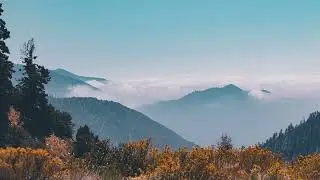 Lonely Raven |lofi hiphop