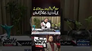 Maulana Fazlur Rehman Humare Sath Aa Jate Hain To Wazan Barhe Ga, Ali Muhammad Khan