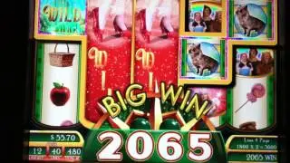 Ruby Slippers wild reels bonus