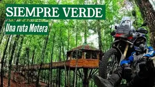 SIEMPRE VERDE #CHIAPAS | GUÍA RÁPIDA