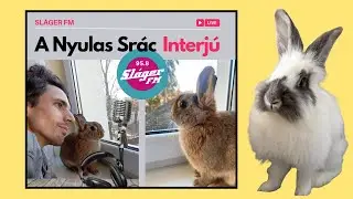 🤯 Ez&eacute;rt NE tartsd ketrecben a nyulad! &ndash; Sl&aacute;ger FM
