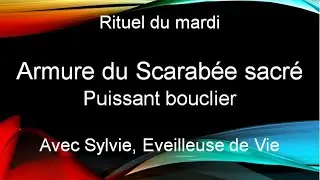 Rituel du mardi : L'armure du scarabée sacré