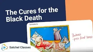 Cures for the Black Death | History | Satchel Classes