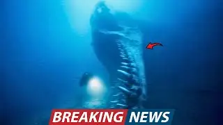 BBC Documentary Crew Filmed a Massive Jawbone With Unknown Origin Buried In Ocean Sand Near Iceland