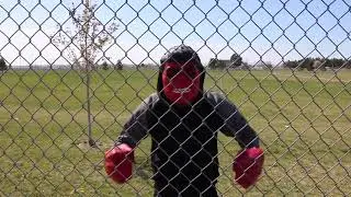 Hulk vs Red Hulk superhero battle in real life