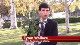 California Proposition 64 -- 