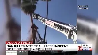 Man dies in tree-trimming accident in Tucson area
