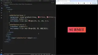 HTML and CSS Tutorial Beginner: Simple Animated Submit Button