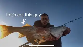 Striped Bass Catch and Cook! 👩&zwj;🍳 NYC style 💣💥