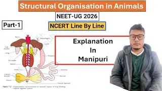 Structural Organisation in Animals || Part-1 || NCERT Line by Line #ncert #neet