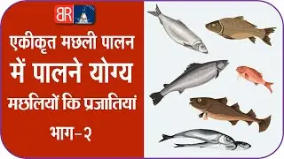Part - 2 Fish species in integrated fish farming in hindi | integrated fish farming system