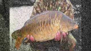 Winter Carp Fishing 2012 HD