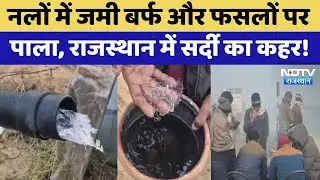 Rajasthan Cold Wave: नलों में जमी बर्फ और फसलों पर पाला, राजस्थान में सर्दी का कहर! | Top News