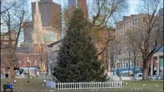 Boston Common Tree Lighting Ceremony 2025 Merry Christmas Holiday Live Livestream