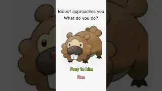 POV:bidoof approaches you #meme #bidoof