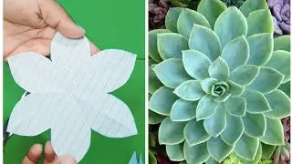 #succulentdiy #cactusdiy  COMO FAZER O MOLDE DA SUCULENTA.