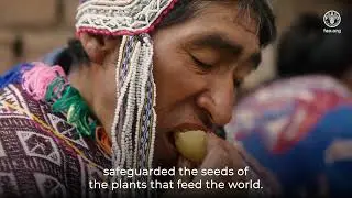 Cultivating a Shared Future