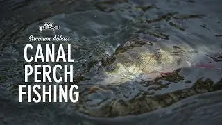 *** FOX RAGE TV *** SAMIM ABBASS CANAL PERCH FISHING