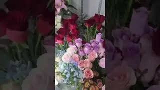 beautiful flower#flowers#viral