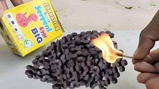 Serpent Diwali Big Black Snake eggs 🐍 | Mr Hackury Part 2