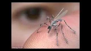 5 Crazy Drones That Will Leave You Stunned........