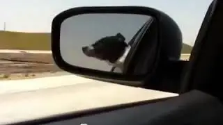 HSARUN MEMMEDOV PRİKOL
