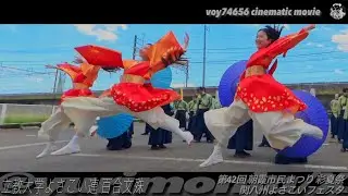 立教大学よさこい連 百合文殊／第42回 朝霞市民まつり 彩夏祭day1 超熱いぜ‼︎ 関八連劇場【シネスコ】