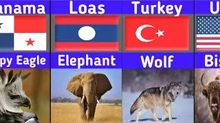 Национальное животное каждой страны 🐯🌍 | Вы не поверите некоторым из них!