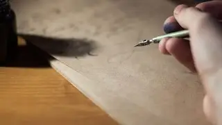 Gratitude Letter
