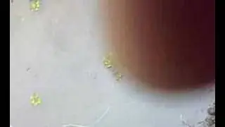klkj