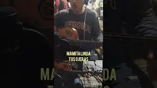 kalamrka _ mamita #fypシ゚viral #bolivia #cochabamba #mamita #kalamarka #m&uacute;sica