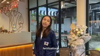 Dessia (MID TEST) - Kelompok 2