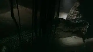 Was there anything that could eat faster than the 'rogue' crocodile