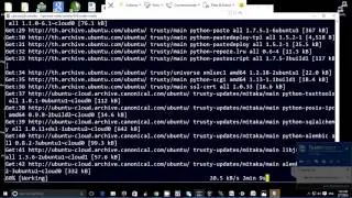 OpenStack Mitaka Installation with Distributed Virtual Router (DVR) part 5/7
