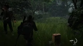 The Last of Us Part II