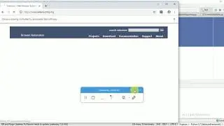 Python Speech Reporting