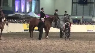 Equifest 2014 hunter champs
