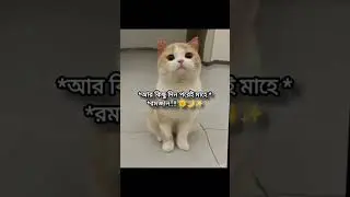 #babycomedy #lifeisbutadream #unfrezzmyaccount
