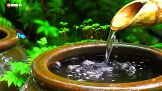 🌱Healing Music For Sleep & Relax, Relaxation Music of Flowing Water Relieve Stress, Mind feel calm