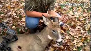 Kyle's 2015 archery 9 point Tap Outdoors