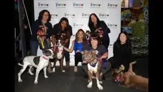 Gangster Gardeners, Gifts for Homeless Kids, & Sweet Treats Help Animals in Need