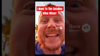 I Went To The Catalina Wine Mixer! #fypシ #ai #fyp #viral #fypシ゚viral #funny #comedy #shorts #reels