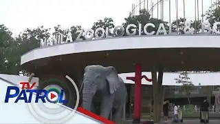 Manila Zoo muling nagbukas kasunod ng rehabilitasyon | TV Patrol