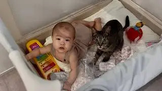 猫と赤ちゃんが遊んでいたのでコッソリ覗いたらこうなりました