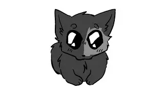 dee dee dinky dinky cat