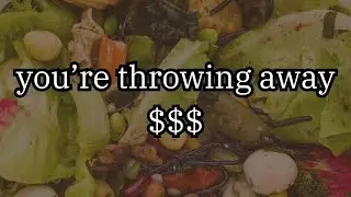 I Cut My Food Waste in HALF&mdash;Here&rsquo;s How You Can Too!
