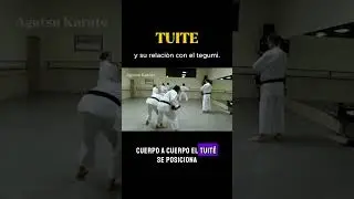 🧠 KARATE SIN GOLPES: El poder del TUITE explicado 👊